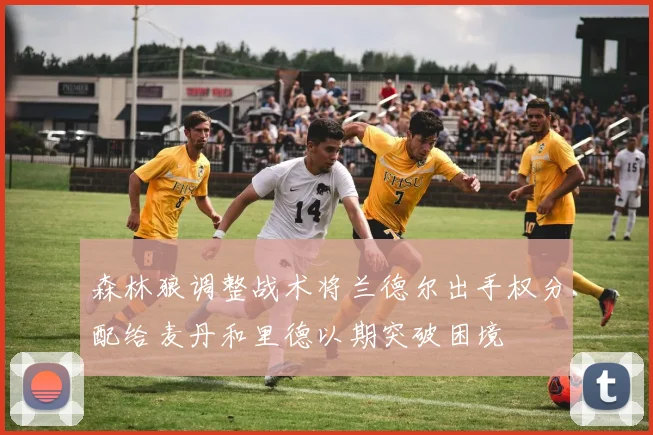 森林狼调整战术将兰德尔出手权分配给麦丹和里德以期突破困境