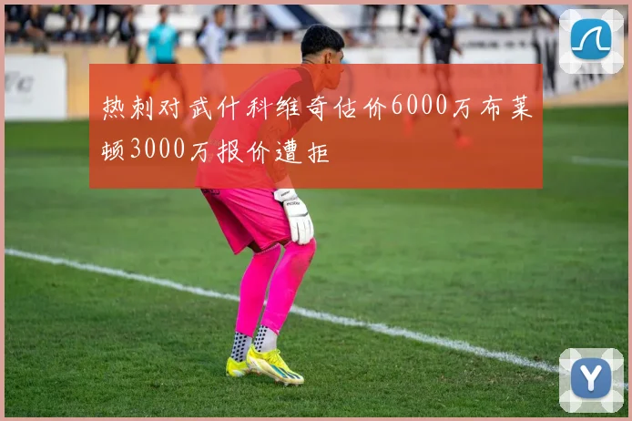 热刺对武什科维奇估价6000万布莱顿3000万报价遭拒