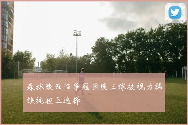 森林狼面临争冠困境三球被视为稀缺纯控卫选择