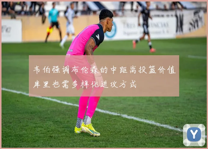 韦伯强调布伦森的中距离投篮价值库里也需多样化进攻方式